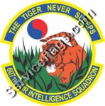 607th AIS Air Intelligence Squadron