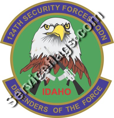 124th SFS Security Forces Squadron