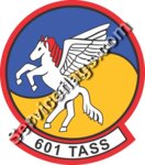 601st TASS Tactical Air Support Squadron