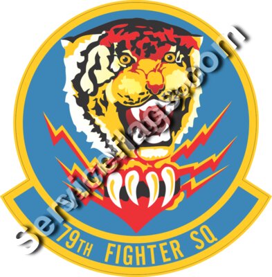 79th FS Fighter Squadron