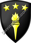 Army War College Patch