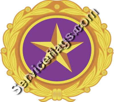 Gold Star Pin Image