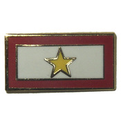 Gold Star Service Lapel Pin