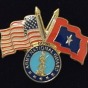 ANG Veterans Flag Pin