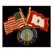 Army Natl Guard Pin with Crossed US/Service Flags